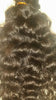 Cambodian Curly