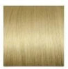 Dirty Blonde Clip In Hair Extensions
