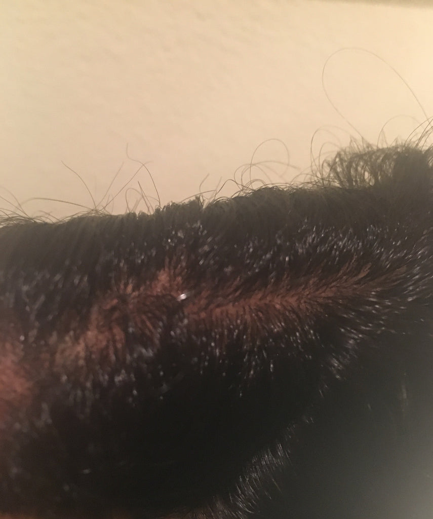 Silk Frontal